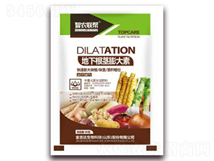 ���¸��o�����-���_