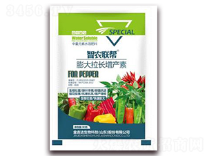 ������L���a(ch��n)��-���_