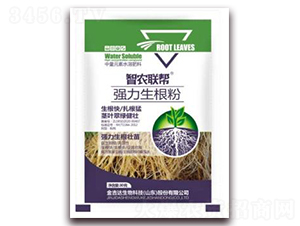 ������-���_