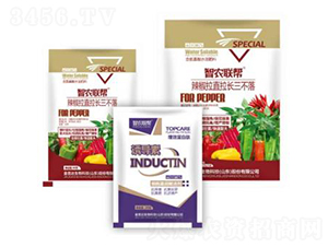 ������ֱ���L������-���_