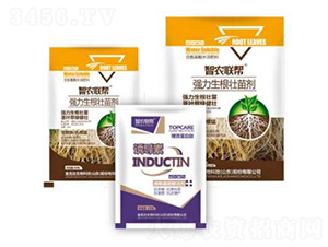 �������焩-���_