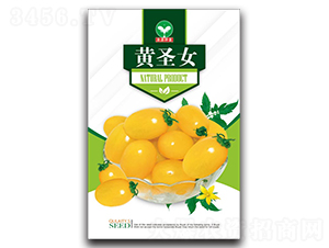 �SʥŮ-ʥŮ���N��-ȪԴ