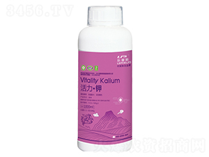 �������-�Θ�(l��)�r(n��ng)�I(y��)