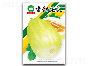 ������-��ϷN��-ȪԴ