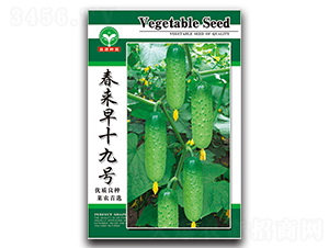 ������ʮ��̖-�S�ϷN��-ȪԴ