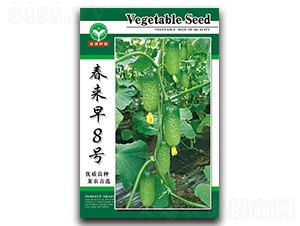 ������8̖-�S�ϷN��-ȪԴ