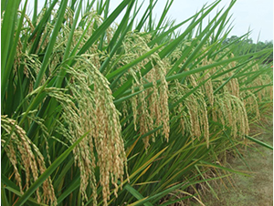 �G����(y��u)688-�G���N�I(y��)