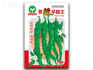 �����罷��-�����N��-ȪԴ