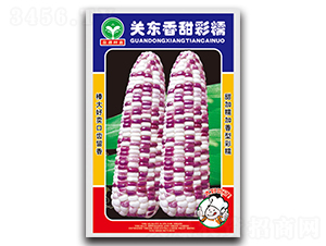 �P�|�����Ŵ-���׷N��-ȪԴ