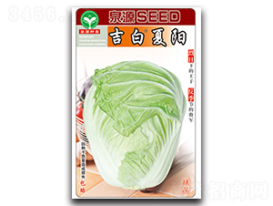 �������(y��ng)-�ײ˷N��-ȪԴ