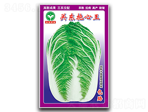 �P(gu��n)�|������-�ײ˷N��-ȪԴ