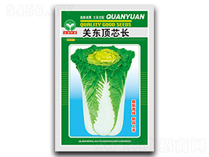 �P(gu��n)�|����L(zh��ng)-�ײ˷N��-ȪԴ