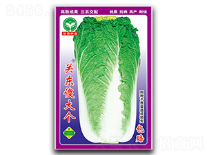 �P(gu��n)�|ɵ��(g��)-�ײ˷N��-ȪԴ