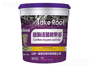 ̼ø���������-Ҽ������