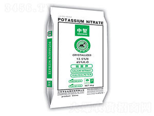 �M(j��n)�������13