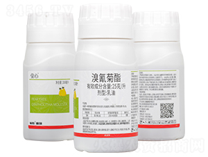 25��/�������������-ʡ��