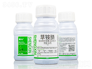 200��/�����@�ˮ��-ʡ��