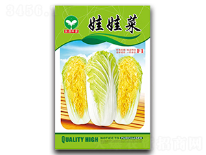 ���޲�-�ײ˷N��-ȪԴ