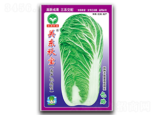 �P�|�-�ײ˷N��-ȪԴ