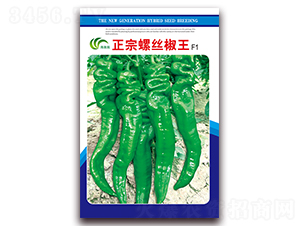 �����ݽz����-�ݽz���N��-���Ɉ@