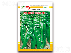 �����ݽz����-�ݽz���N��-���Ɉ@