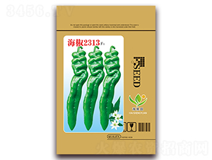 ����2313-�ݽz���N��-���Ɉ@