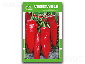 �紺�t-�t���N��-���Ɉ@