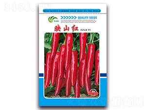 ӳɽ�t-�t���N��-���Ɉ@