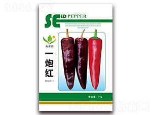 һ�ڼt-�t���N��-���Ɉ@