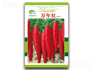 �f��t-�t���N��-���Ɉ@