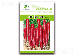 �M��t-�t���N��-���Ɉ@