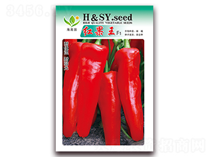 �t����-�t���N��-���Ɉ@