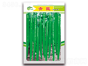 ����-�����N��-���Ɉ@