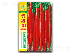 �L��1081-�����N��-���Ɉ@