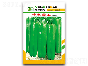 �ش����-��Ƥ�ݽ��N��-���Ɉ@