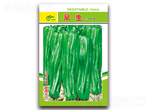 ����-��Ƥ�ݽ��N��-���Ɉ@