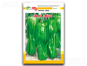 ����M�@-��Ƥ�ݽ��N��-���Ɉ@