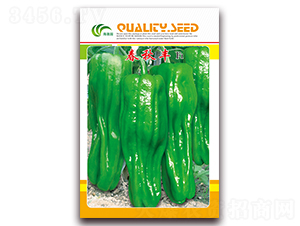 �����S-��Ƥ�ݽ��N��-���Ɉ@