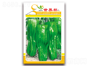 ���籭-��Ƥ�ݽ��N��-���Ɉ@