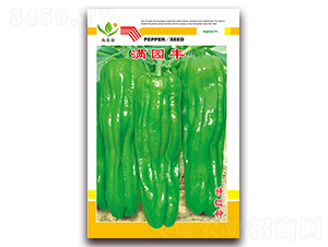 �M�@�S-��Ƥ�ݽ��N��-���Ɉ@