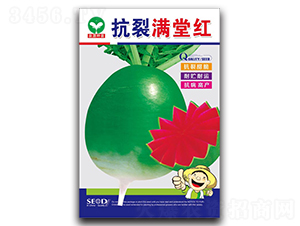 ���ѝM�żt-�}���N��-ȪԴ