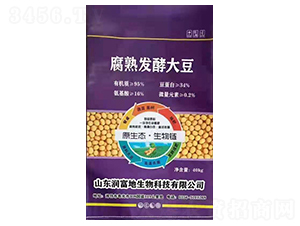 ����l(f��)�ʹ�-������