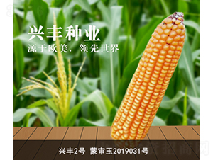 �d�S2̖-�d�S�N�I(y��)