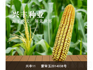 �d�S11-�d�S�N�I(y��)