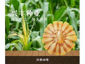 �d�S58̖(h��o)-���׷N��-�d�S�N�I(y��)