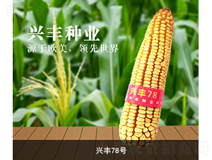 �d�S78̖(h��o)-���׷N��-�d�S�N�I(y��)