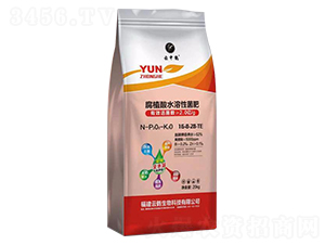 ��ֲ��ˮ���Ծ���16-8-28-TE-�����Q-���Q����