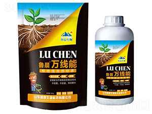 ���Y���x�K�Y�ߣ��M���b��-�����f����-��������