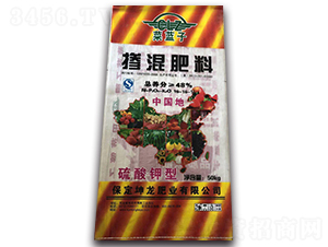 �������16-16-16-���{��-����