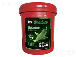 �S�ϛ_ʩ��-������-�����f��